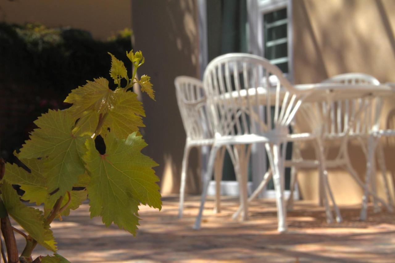 The Vine Klawer Exterior foto